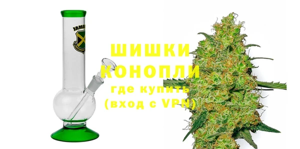 spice Богородицк