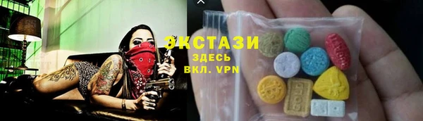 spice Богородицк