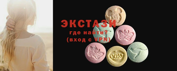 spice Богородицк