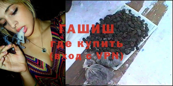 стаф Богданович