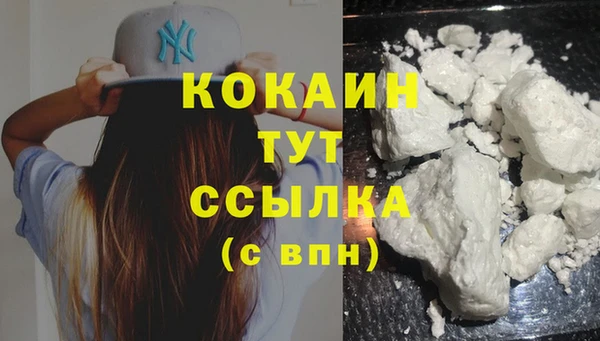 стаф Богданович