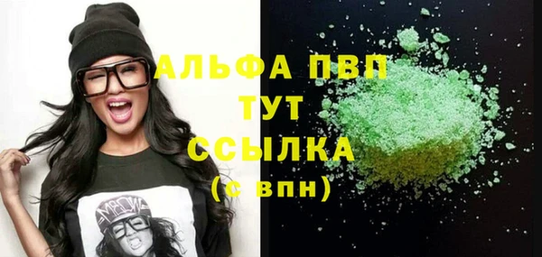 стаф Богданович
