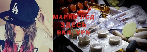 стаф Богданович